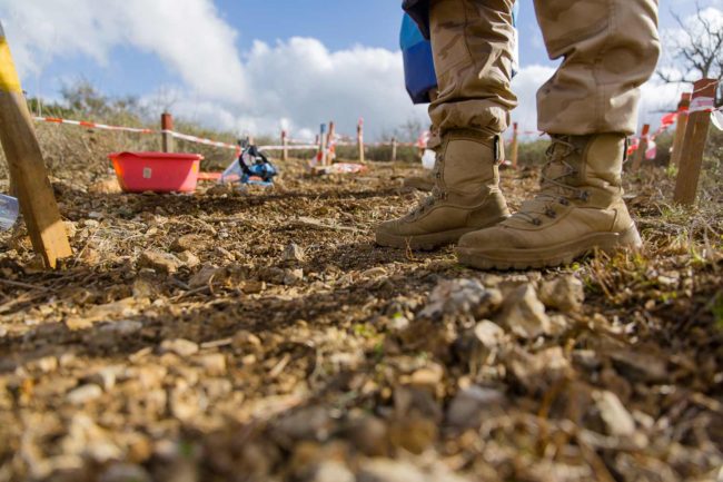 Deminage au Liban