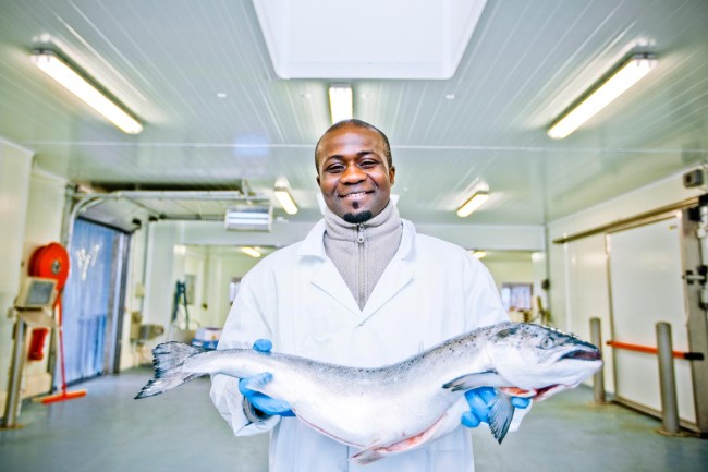 portrait-politique-entreprise-photographe-montreal-59
