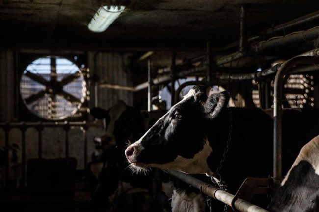 photo-industriel-photographe-entreprise-professionnels-035