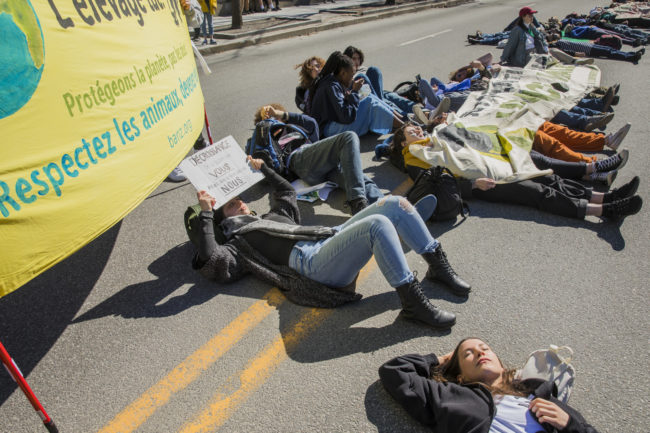 20190422_Assemblee_nationale_Quebec
