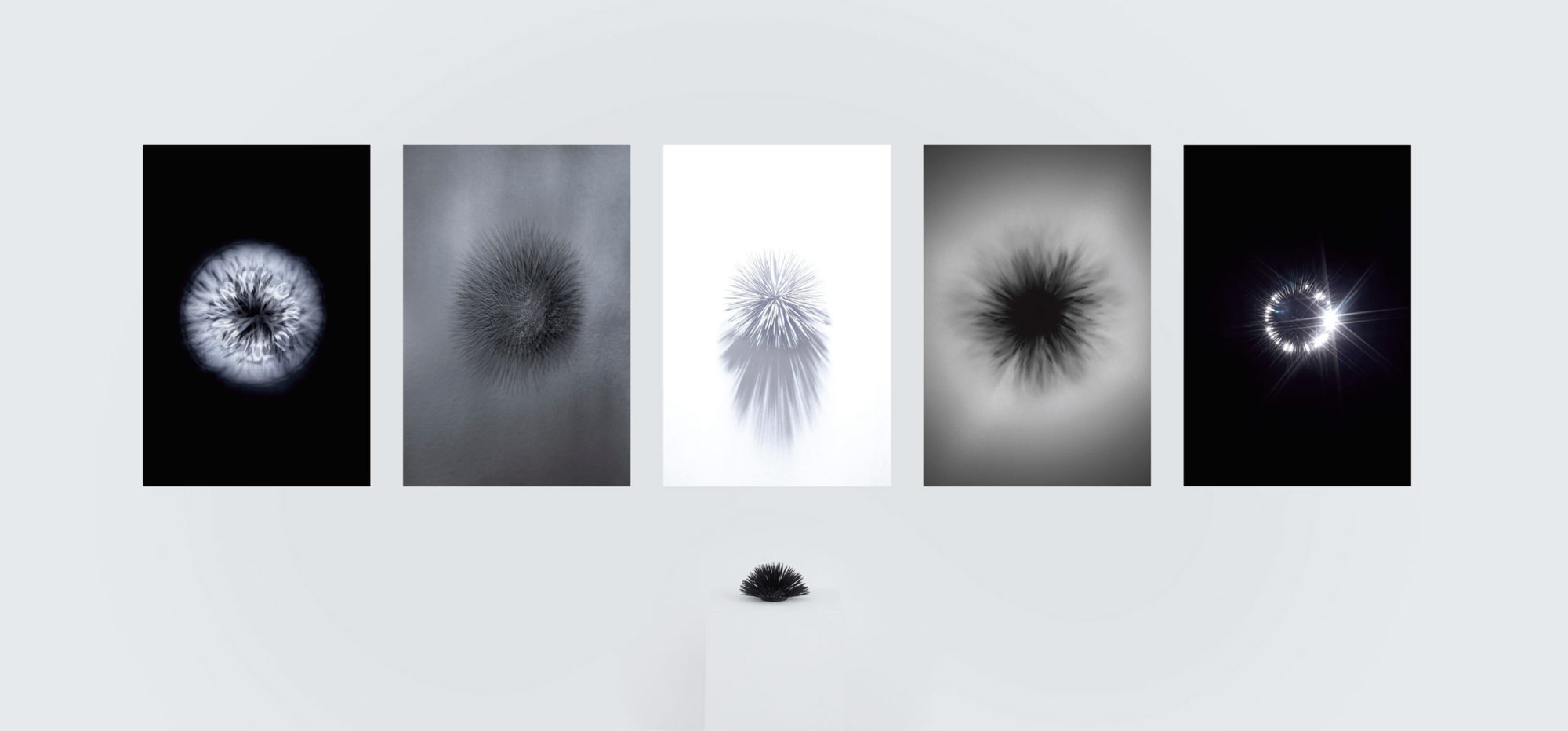 FAS2020_Thierry_du_Bois_visuel1