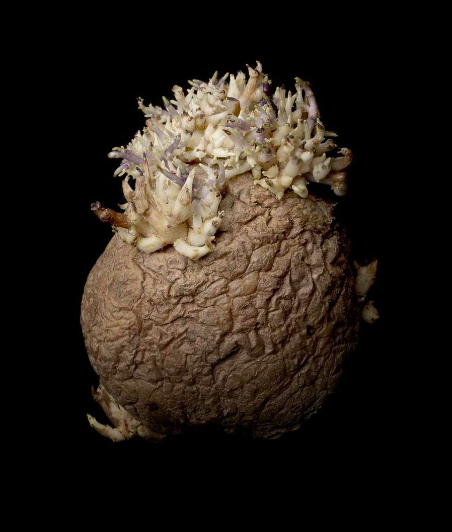 #cecinestpasàvendre